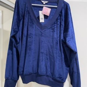 Target Ascot & Hart blue velvet v neck sweatshirt